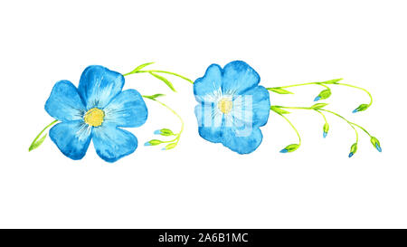 Linum perenne (mehrjährig Flachs, blau Flachs, lint) blaue Blumen auf grünem Stängel mit Blüten, isolierte Handgemalten Aquarell grafik design Element Stockfoto