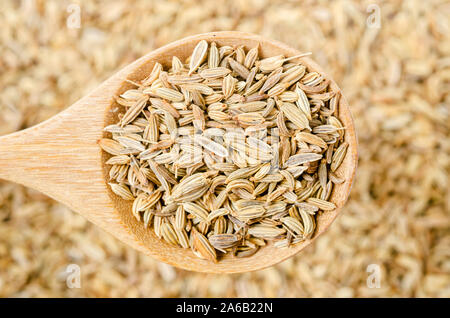Getrocknete Fenchel Samen in hölzernen Löffel auf Fenchel Samen Hintergrund. Stockfoto