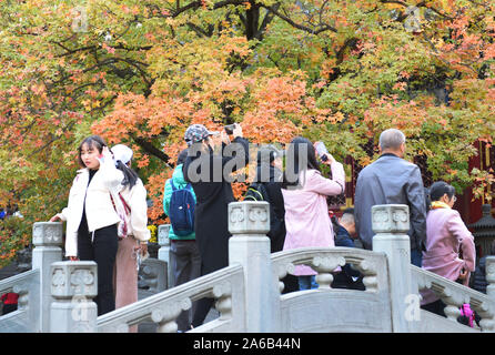 Peking, China. 25 Okt, 2019. Touristen genießen Rote Blätter in Xiangshan Park in Peking, der Hauptstadt von China, Okt. 25, 2019. Credit: Chen Zhonghao/Xinhua/Alamy leben Nachrichten Stockfoto