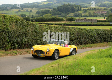 Eine echte AC Cobra (nicht Nachbau) bei Bergrennen Shelsley Walsh, Worcestershire, England, UK. Stockfoto