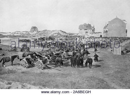 WW 1 belgischen Artillerie in den Sanddünen am Ostende Belgien, vintage Foto von 1914 Stockfoto