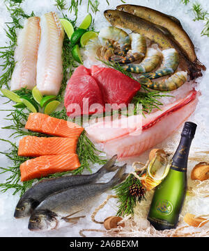 Verschiedene Fisch auf Eis, Champagner, Glas, Dekoration mit Algen, Kalk und Fischernetz Stockfoto