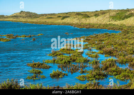 Blick von Norfolk Coast Path National Trail in der Nähe von Barnham Overy Staithe bei Flut, East Anglia, England, UK. Stockfoto