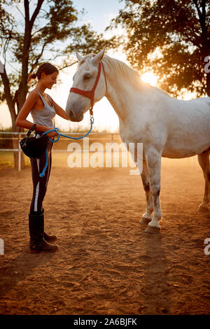 Junge lächelnde Frau vorbereiten, ein Pferd zu reiten. Stockfoto