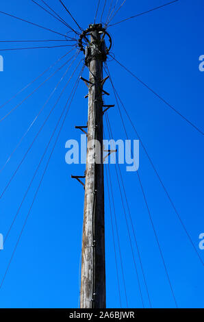 Eine hölzerne Telegraphenmast Drähte verteilen auf ein Dutzend oder mehr Häuser in einem der oberen Mittelklasse Straße mehr als vor 100 Jahren. Stockfoto