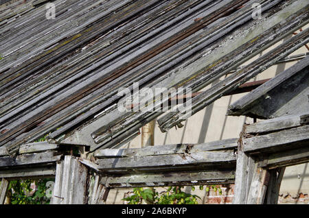 Aufgegeben und malerisch verfallende Glas Häuser gegen eine Wand errichtet auf dem Gelände des Harewood House, Yorkshire Stockfoto