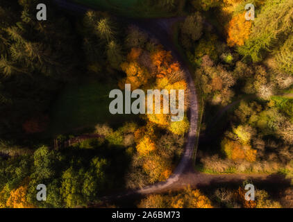 Herbstliche Blick aus dem Boden und in der Luft der goldenen Blätter entlang einem Pfad und einer Biegung der Straße über die Brücke in den Bergen Stockfoto