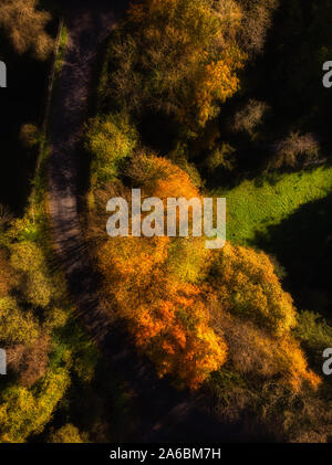 Herbstliche Blick aus dem Boden und in der Luft der goldenen Blätter entlang einem Pfad und einer Biegung der Straße über die Brücke in den Bergen Stockfoto
