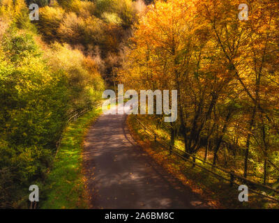 Herbstliche Blick aus dem Boden und in der Luft der goldenen Blätter entlang einem Pfad und einer Biegung der Straße über die Brücke in den Bergen Stockfoto