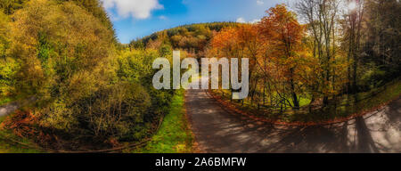 Biegen Straße über die Brücke durch die herbstlichen Baum mit Sonnenschein und lange Schatten Stockfoto