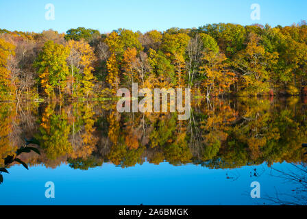 Schönen Herbst Herbst Laub in Neu-england USA Risley Park Vernon Connecticut New England Stockfoto