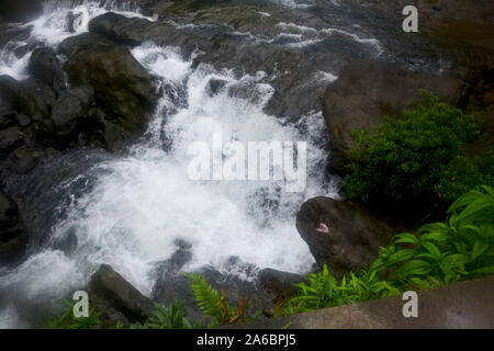 Wasserfall von den Hügeln von Shillong in Meghalaya, seidig blur Wasser und natürlichen Umgebung mit Bäumen. Stockfoto