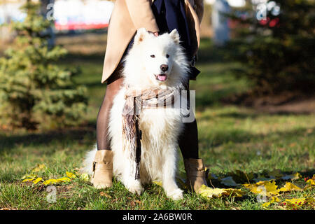 Ein Hund sitzt zwischen den Beinen einer Frau auf dem Gras. Stockfoto