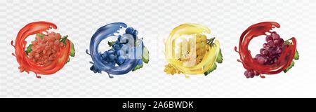 Set Weintrauben. Tafeltrauben Weiß, Rot, Dunkelblau mit Splash. Trauben auf transparentem Hintergrund. Obst und spritzt. Vector Illustration Stock Vektor