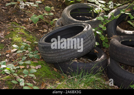 Altreifen illegal entsorgt oder Fliegen in einem Wald im Norden von Wales UK gespitzt Stockfoto