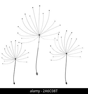 Löwenzahn in abstrakten Stil auf weißem Hintergrund. Vektor floral background. Löwenzahn Vektor. Botanik Hintergrund Stock Vektor