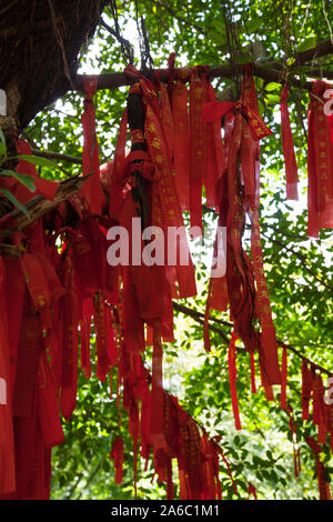 Rote Gebet Bänder hängen vom Baum in der Geisterstadt Fengdu China Stockfoto