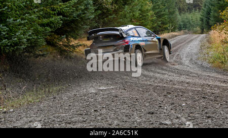 Auto 33, Fahrer Elfyn Evans, Co-Driver Scott Martin, Wales Rally GB, Tag drei, Brenig Wald Bühne Stockfoto