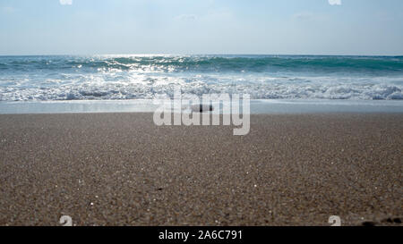 Unterzeichnet Sea Green Turtle Nest auf Lara Bay Turtle Beach, Akamas, Zypern Stockfoto