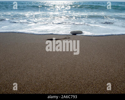 Unterzeichnet Sea Green Turtle Nest auf Lara Bay Turtle Beach, Akamas, Zypern Stockfoto