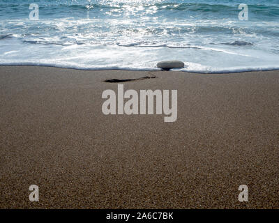 Unterzeichnet Sea Green Turtle Nest auf Lara Bay Turtle Beach, Akamas, Zypern Stockfoto