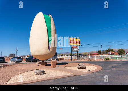 Der größte Pistacio der Welt auf der Pistacio Tree Ranch von McGinn in Alamogordo, New Mexico, USA Stockfoto