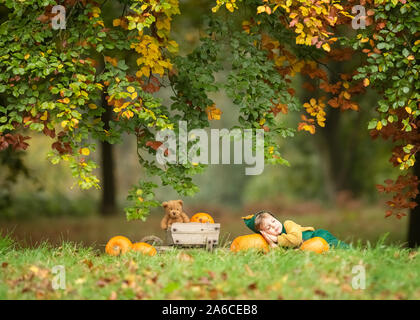 Süße kleine Kaukasischen Junge schläft im Gras mit einem Vintage Holz Schubkarre einen Teddybären und Kürbisse unter einem schönen bunten Baum im Herbst Stockfoto