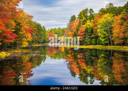 Buntes laub baum Reflexionen in ruhigen Teich Wasser an einem schönen Herbsttag im New England Stockfoto