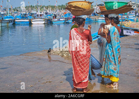 Weibliche Fischverkäufer, die Fische im Alten Hafen, Mangalore, Karnataka, Indien kaufen, stehen mit Körben auf ihren Köpfen plaudern, Fischerboote im b/g Stockfoto