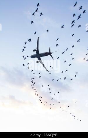 Konzeptionelle Bild der Flugsicherheit. Stockfoto