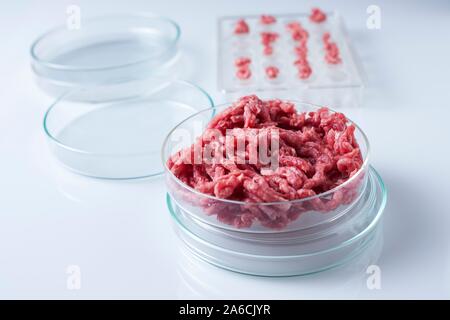 Konzeptionelle Bild von kultiviertem Fleisch im Labor gezüchtet. Stockfoto