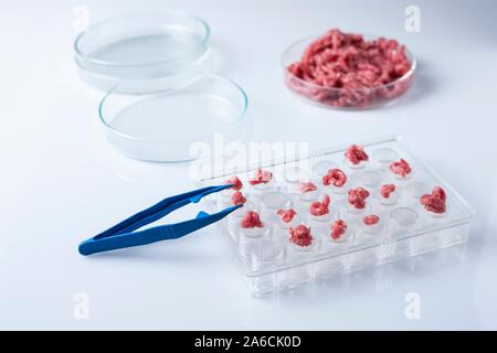 Konzeptionelle Bild von kultiviertem Fleisch im Labor gezüchtet. Stockfoto