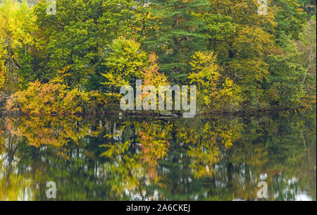 Reflexionen in Rydal Wasser im Lake District National Park Cumbria. Der Fluss Rothay läuft sowohl über Grasmere und Rydal wasser Seen. Stockfoto