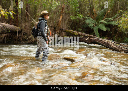 Weibliche Fly Fishing Guide Angeln am Fluss Taggerty, Victoria, Australien Stockfoto