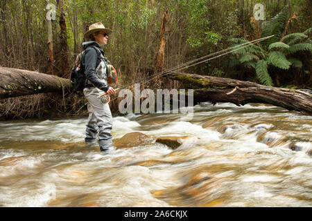 Weibliche Fly Fishing Guide Angeln am Fluss Taggerty, Victoria, Australien Stockfoto