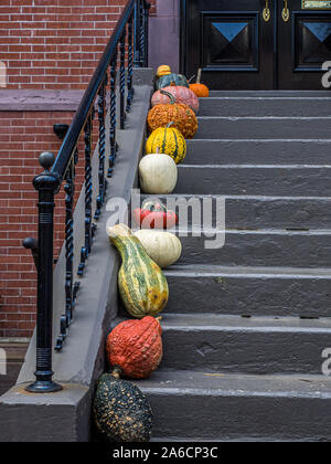 Halloween Dekorationen auf dem Haupteingang Schritte zu einem Haus in Boston, USA Stockfoto