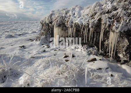 Eiszapfen und Reif auf whernside Teppichboden in Eis und Schnee mitten im Winter Yorkshire Dales Stockfoto