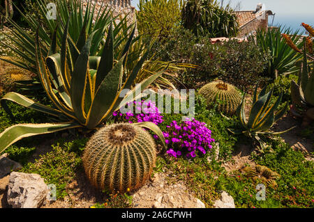 Botanischer Garten, Eze-Village, Cote d'Azur, Frankreich. Stockfoto