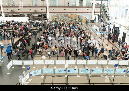 Masse der Reisenden erwarten TSA Screening am Denver International Airport. Stockfoto