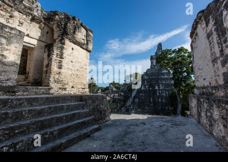 Tempel I oder Tempel der Großen Jaguar, Nationalpark Tikal, Guatemala. Ein UNESCO Weltkulturerbe. Stockfoto