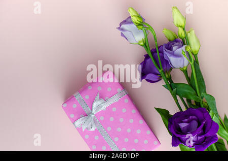 Eustoma Blumen lila und rosa Geschenk Box auf pastellfarbenen Hintergrund. Ansicht von oben, kopieren. Urlaub grüße Konzept. Stockfoto