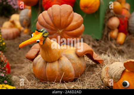 Kürbisse zu Ehren der Feier der Herbst und Halloween. Festival der Gemüse. lustig Türkei der Kürbisse. Stockfoto