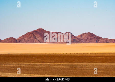 Die Wüste in Namibia, Afrika Stockfoto
