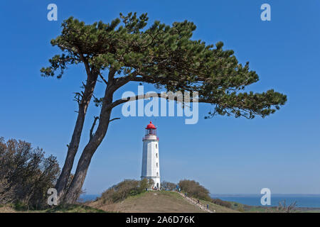 Der Leuchtturm auf Dornbusch Hill auf der Insel Hiddensee, Mecklenburg-Vorpommern, Deutschland. Stockfoto