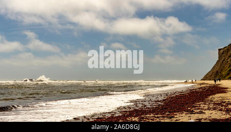 Menschen im Freien genießen bei der Mavericks Strand, Half Moon Bay, Landstraße 1, Nordkalifornien. Stockfoto