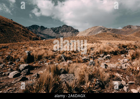 Grobes aufsteigend zu einer der Gipfel des Nevado de Toluca, Mexiko. Stockfoto