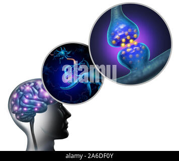 Neurologie Anatomie und Nervenzellen im Gehirn und Nervensystem Konzept als Neuron Funktion Symbol für Multiple Sklerose oder Alzheimer. Stockfoto