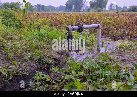 Klar süße und Gesundheit Wasser überlaufen aus der Tube auch an regnerischen Tagen, Hintergrund der getrockneten Sojabohnen Anlage im Feld, Stockfoto