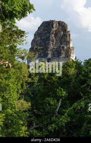 Das Dach Kamm von Tempel V in der Ausgrabungsstätte der alten Maya Kultur im Nationalpark Tikal, Guatemala ruinieren. UNESCO-Weltkulturerbe. Stockfoto