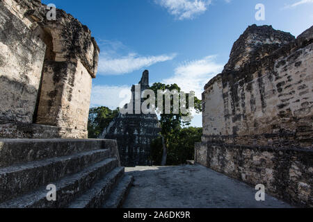 Tempel I oder Tempel der Großen Jaguar, Nationalpark Tikal, Guatemala. Ein UNESCO Weltkulturerbe. Stockfoto